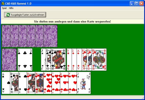 CAD-KAS Romm� in Aktion